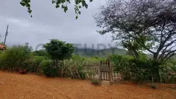 View 31