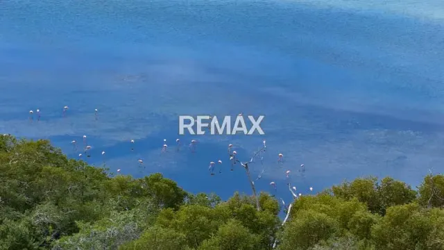 APARTAMENTO MODERNO EN CONJUNTO RESIDENCIAL OCEAN BLUE - 8