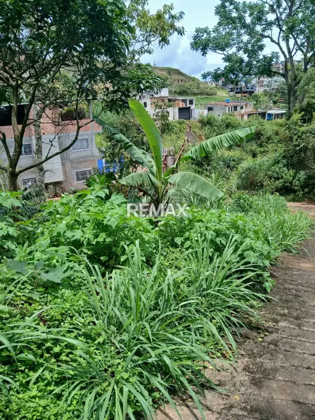 Terreno en venta - 5