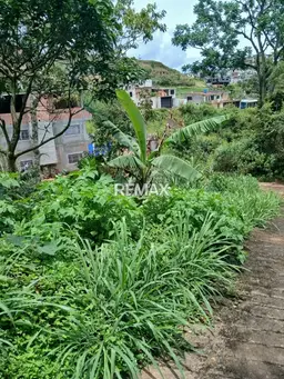 View 5