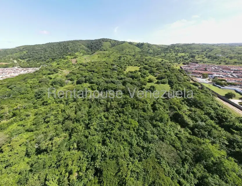 Terreno (Comercial) en Venta en Municipio Peña, Yaracuy - 7