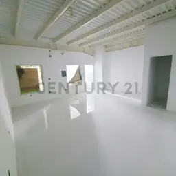 Vista 1