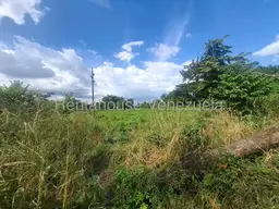 Vista 5