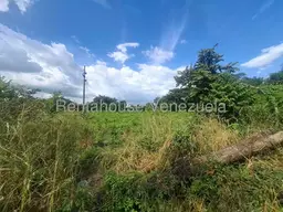Vista 6