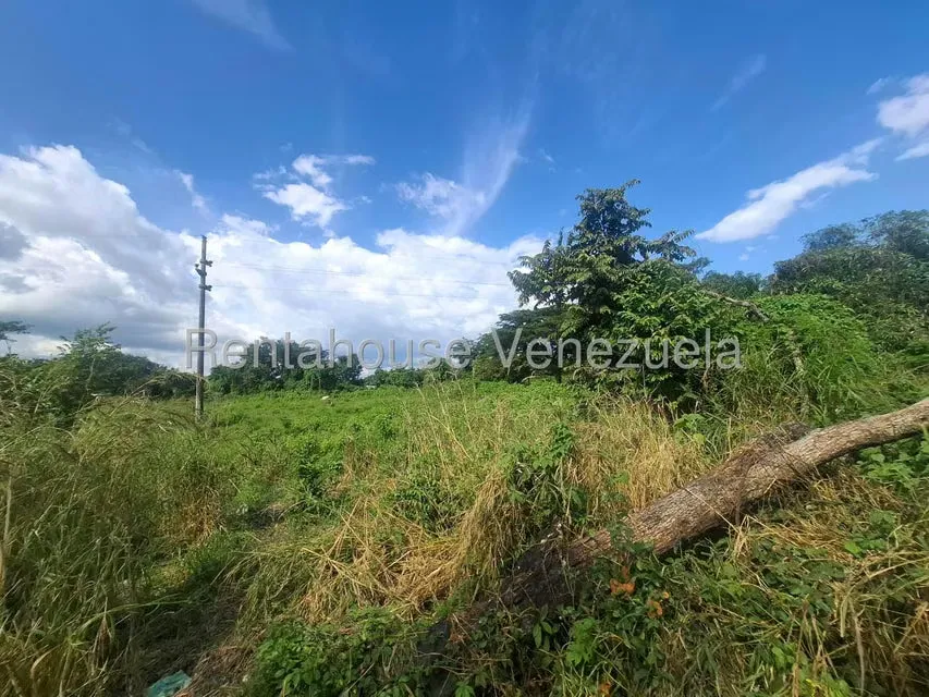 Terreno (Comercial) en Venta en Araure, Portuguesa - 7