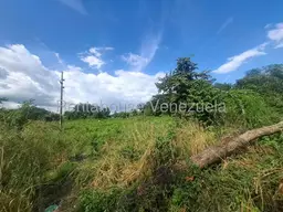 Vista 7