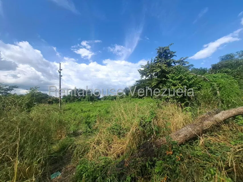 Terreno (Comercial) en Venta en Araure, Portuguesa - 8