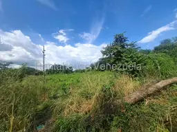 Vista 8