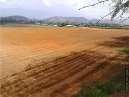 View 1