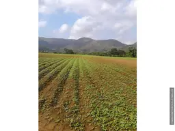 View 6