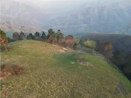 Vista 11