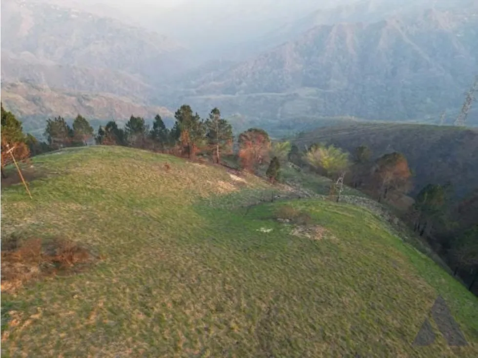 Vendo terreno 23000m2 Monte Elena 3509 - 3
