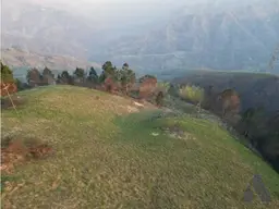 Vista 3