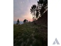 Vista 4