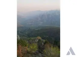 Vista 9
