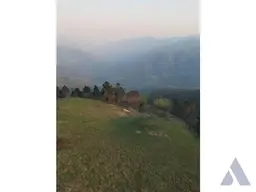 Vista 10