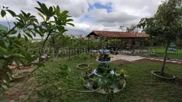 View 43