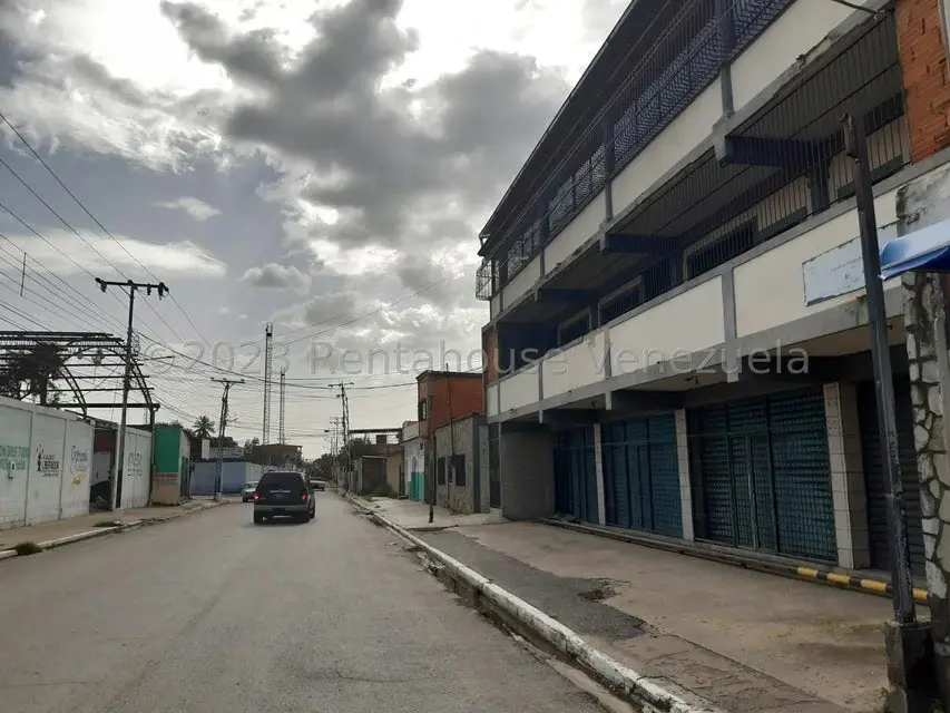 Terreno (Comercial) en Venta en Palo Negro, Aragua - 41