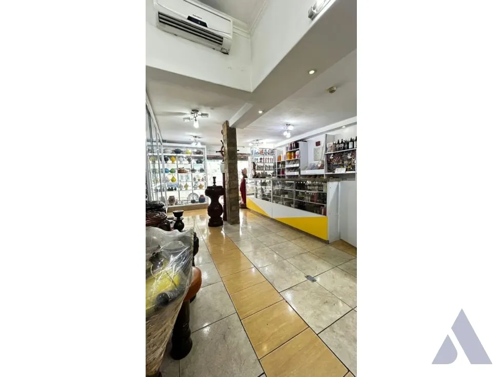 Vendo casa residencial/comercial 450m2 Santa Mónica 4683 - 24