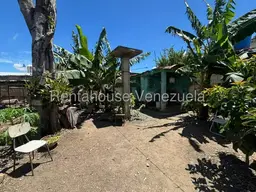 View 19