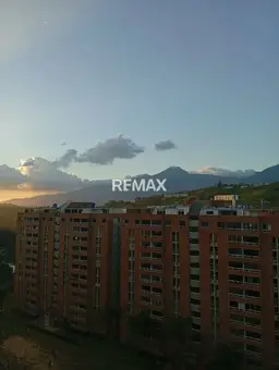 View 8