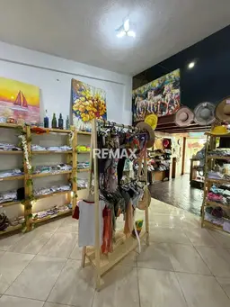 Vista 10