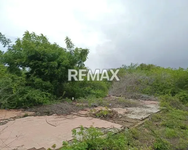OPORTUNIDAD DE INVERSION TERRENO EN EL TIRANO CERCANO AL MAR, ISLA DE MARGARITA, NUEVA ESPARTA - 2