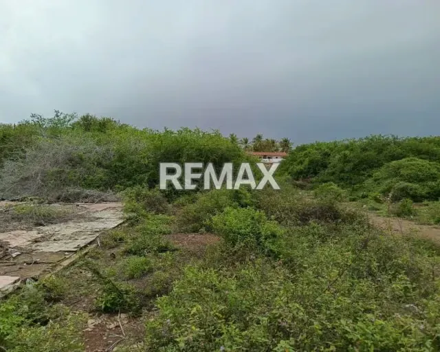 OPORTUNIDAD DE INVERSION TERRENO EN EL TIRANO CERCANO AL MAR, ISLA DE MARGARITA, NUEVA ESPARTA - 4