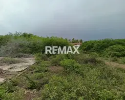 Vista 4