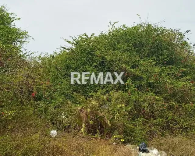 OPORTUNIDAD DE INVERSION TERRENO EN EL TIRANO CERCANO AL MAR, ISLA DE MARGARITA, NUEVA ESPARTA - 6