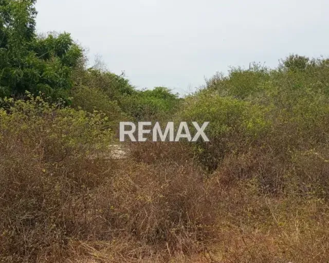 OPORTUNIDAD DE INVERSION TERRENO EN EL TIRANO CERCANO AL MAR, ISLA DE MARGARITA, NUEVA ESPARTA - 10