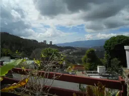 View 42