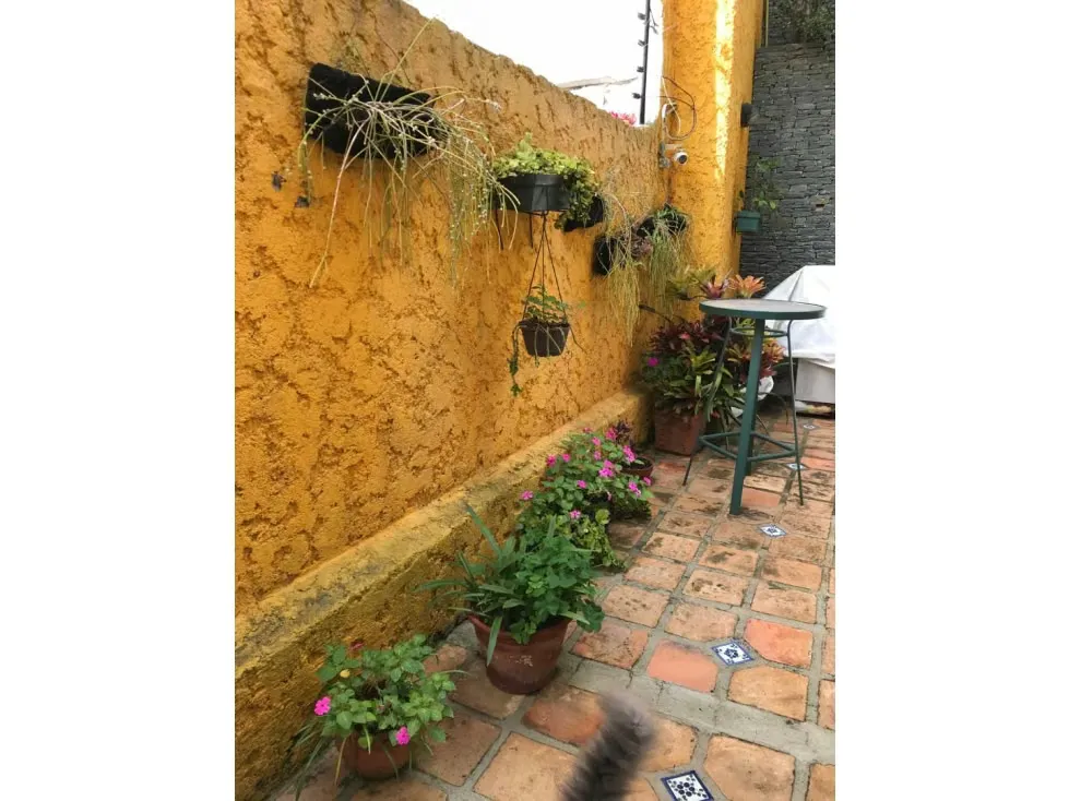 Alto Prado VENDO casa 350m2 Remodelada calle cerrada vista Ávila(mogo) - 47