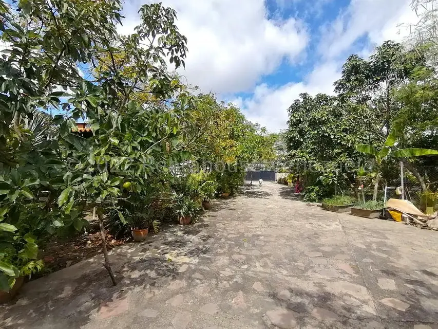 Casa (1 Nivel) en Venta en El Cercado, Lara - 27