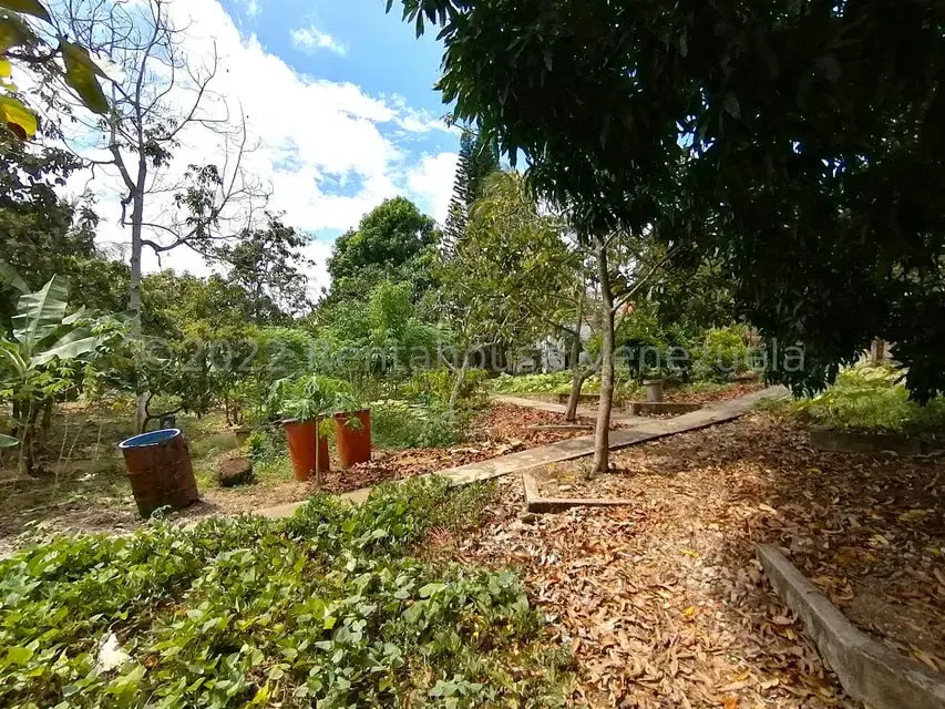 Casa (1 Nivel) en Venta en El Cercado, Lara - 35