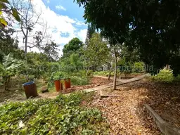 Vista 35