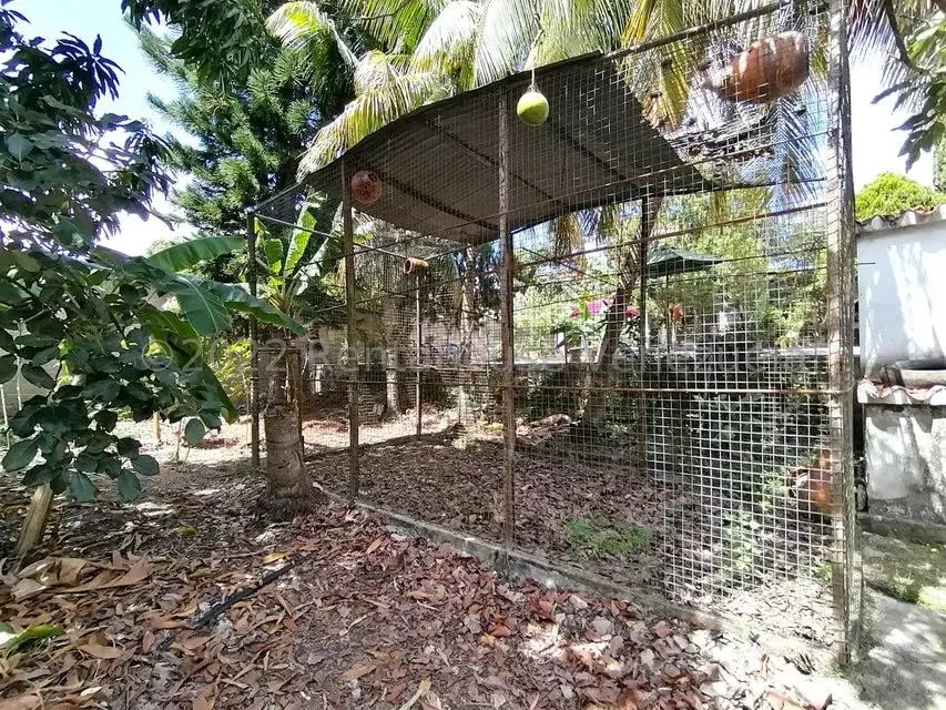 Casa (1 Nivel) en Venta en El Cercado, Lara - 36