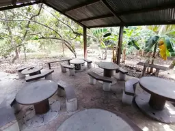 Vista 38