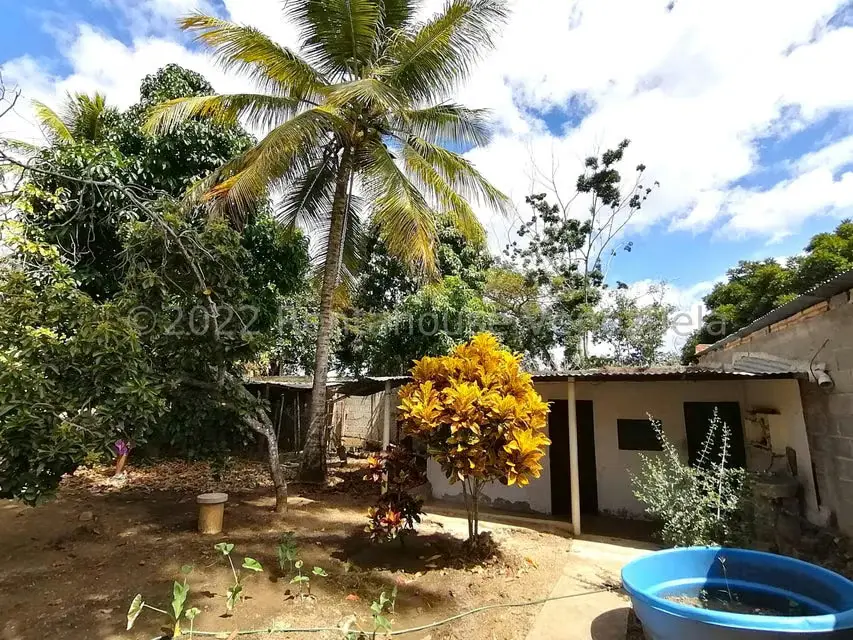 Casa (1 Nivel) en Venta en El Cercado, Lara - 41