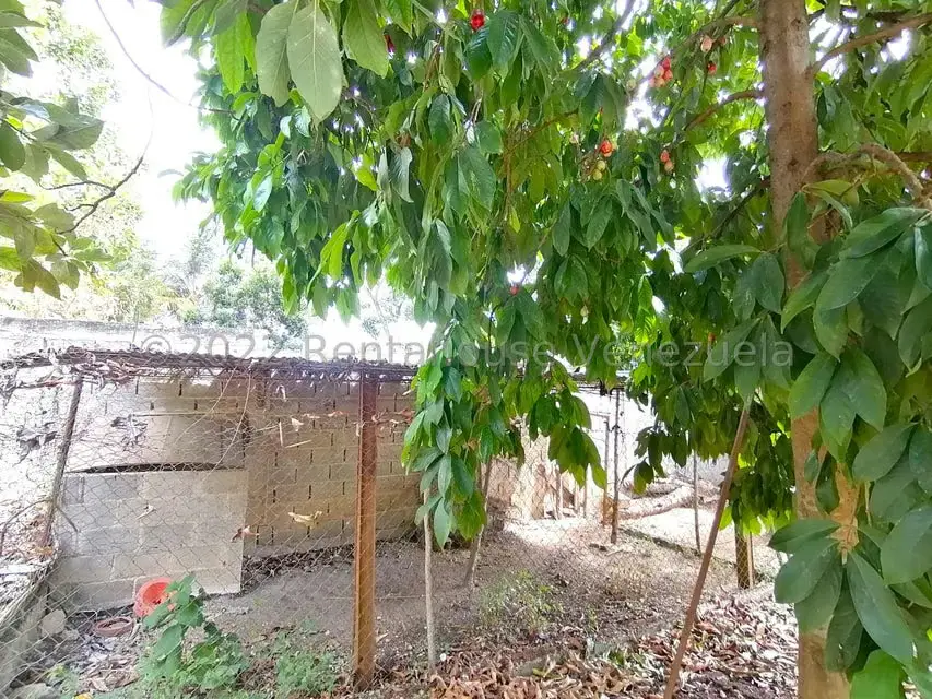 Casa (1 Nivel) en Venta en El Cercado, Lara - 43