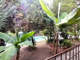 Vista 53