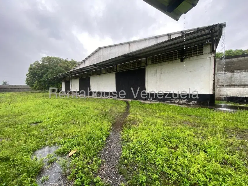 Galpon - Deposito en Venta en Piritu, Portuguesa - 11