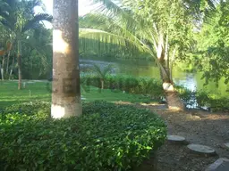 View 11