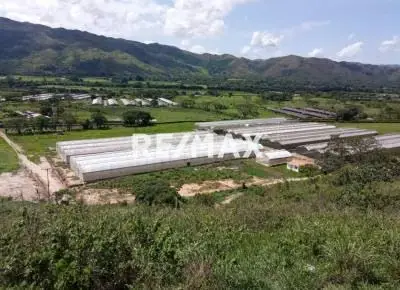 Venta Parcela Aguirre Con Invernaderos 27 ha