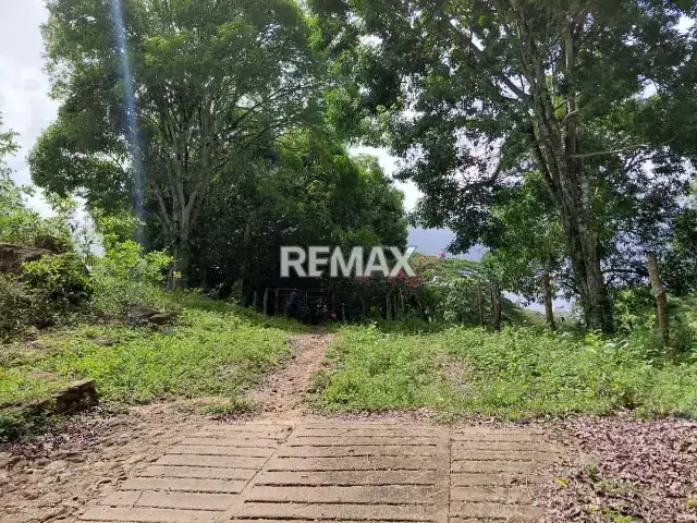 En venta, Finca Productiva y Recreativa de 18 hectareas, en Los Cumarebos, Municipio José Laurencio Silva.