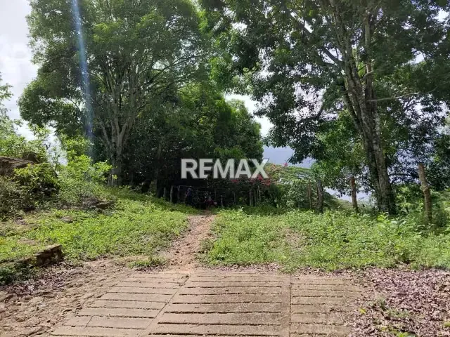 En venta, Finca Productiva y Recreativa de 18 hectareas, en Los Cumarebos, Municipio José Laurencio Silva.