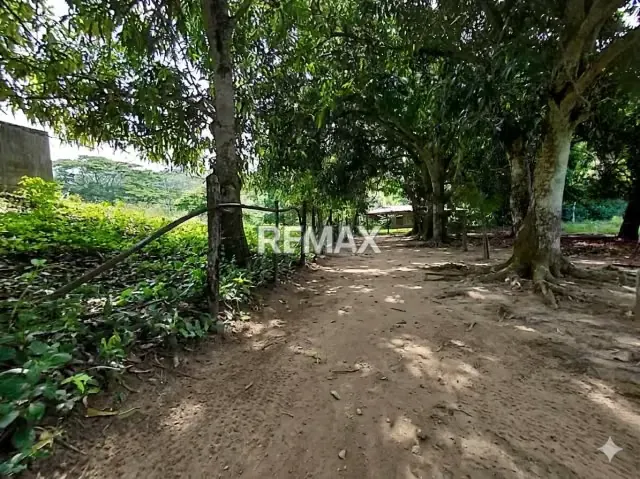 En venta, Finca Productiva y Recreativa de 18 hectareas, en Los Cumarebos, Municipio José Laurencio Silva. - 2