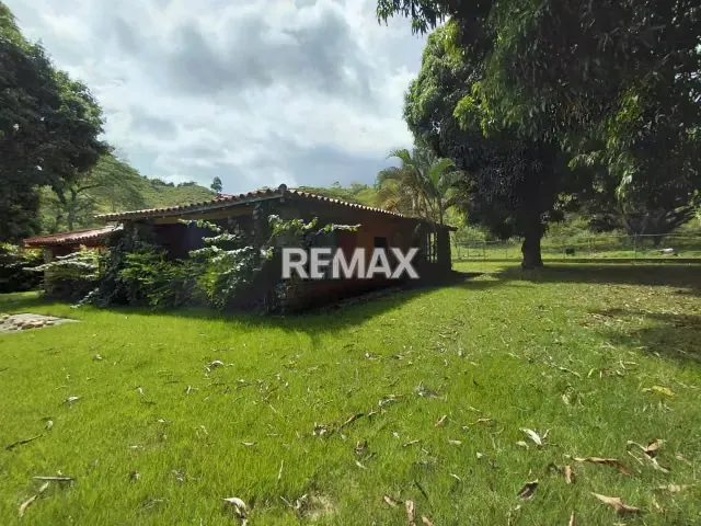 En venta, Finca Productiva y Recreativa de 18 hectareas, en Los Cumarebos, Municipio José Laurencio Silva. - 3