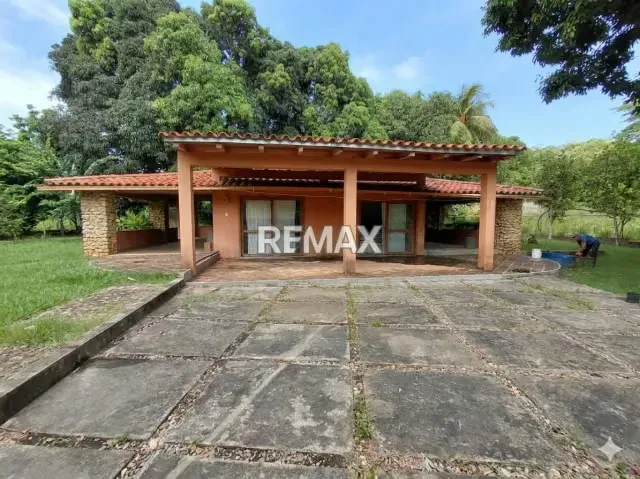 En venta, Finca Productiva y Recreativa de 18 hectareas, en Los Cumarebos, Municipio José Laurencio Silva. - 5
