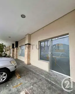 Vista 3